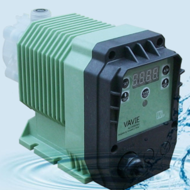 ��ż�����